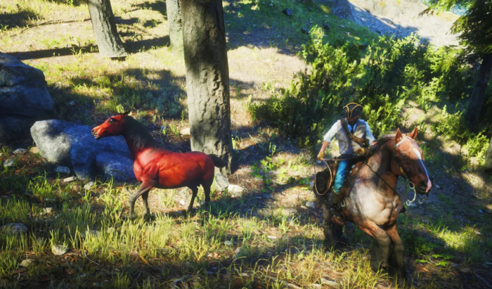 荒野大镖客2稀有马匹怎么驯服2