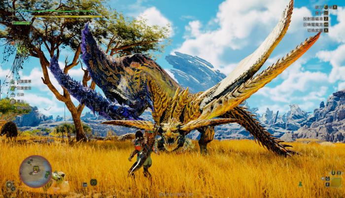 怪物猎人荒野不同武器具备什么特点2