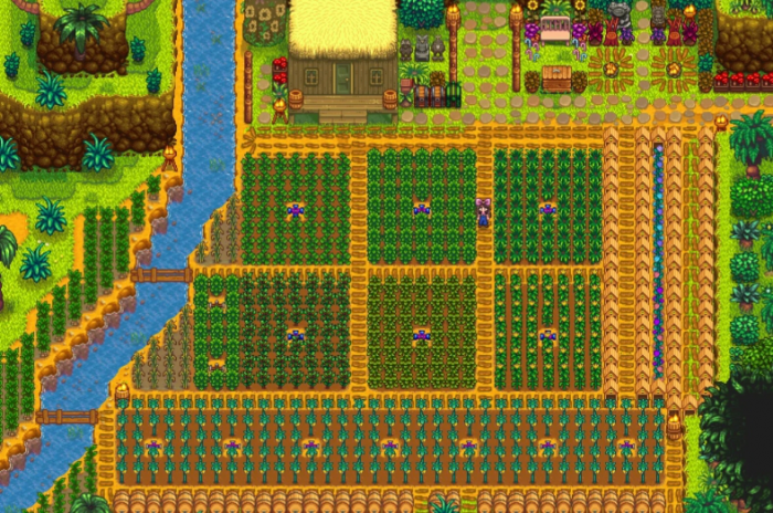 星露谷物语姜岛怎么玩_星露谷物语姜岛紫色花和海星数量