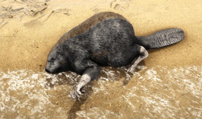 方舟生存进化巨河狸怎么驯服3