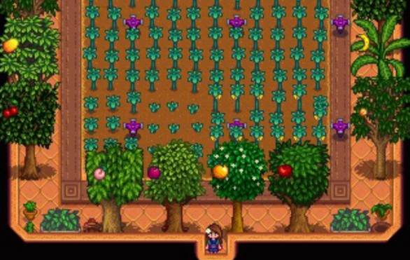 星露谷物语果树有哪些特性1