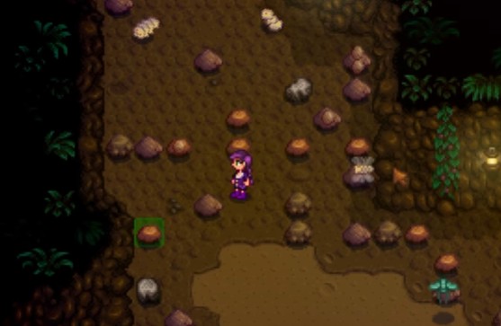 星露谷物语怎么刷蛆_星露谷物语双人联机