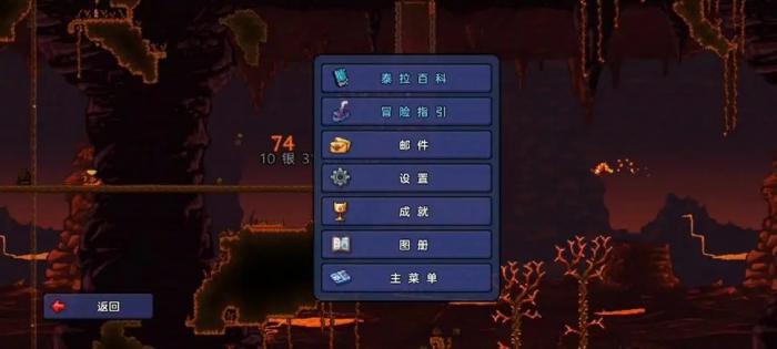 泰拉瑞亚肉山怎么选配饰3