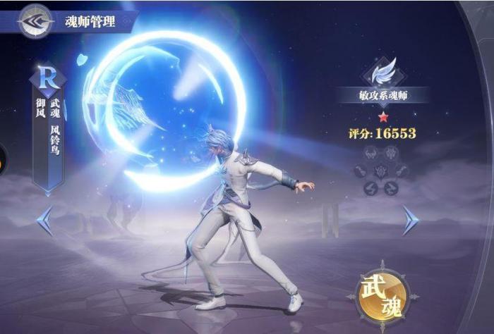 斗罗大陆元武之灵魂环怎么用2