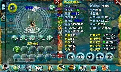 忘仙宠物加什么2