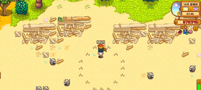 星露谷物语宝藏图腾有什么作用2