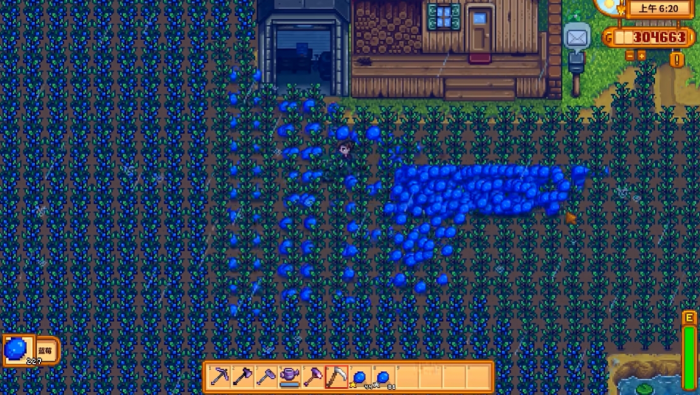 星露谷物语蓝莓怎么卖赚钱_星露谷物语汉化版 星露谷物语蓝莓怎么卖赚钱_星露谷物语汉化版