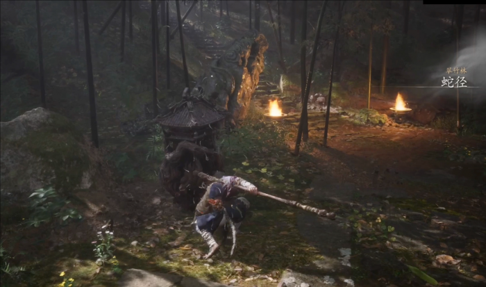 黑神话悟空翠竹林白雾泽怎么去3