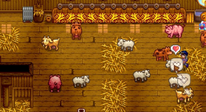 星露谷物语阿比盖尔婚后注意什么3