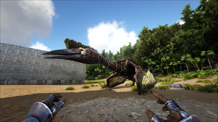 方舟生存进化怎么骑翼龙2