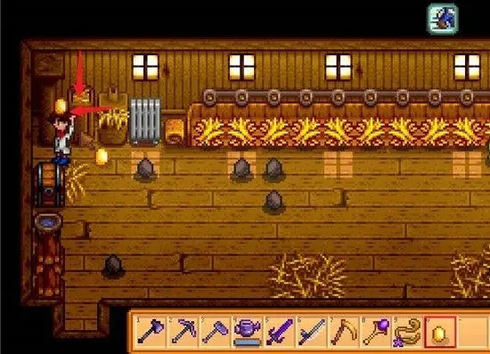 星露谷物语去哪里才能找到金鸡的2