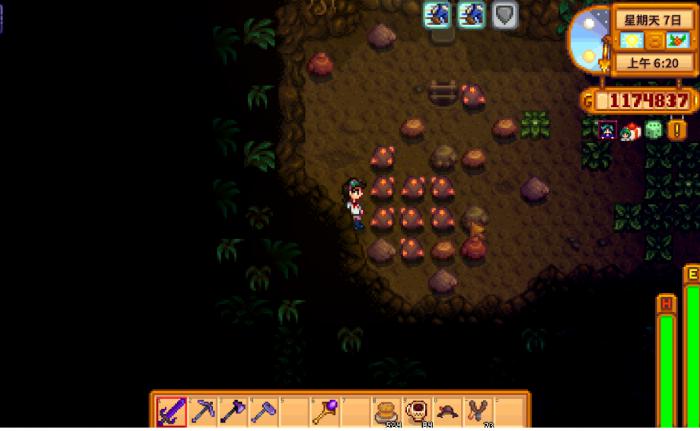 星露谷物语煤矿森林在哪里3