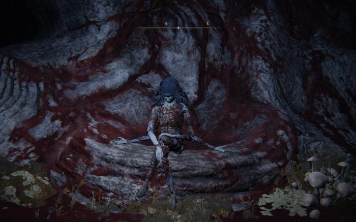 艾尔登法环怎么看自己职业_艾尔登法环 nga