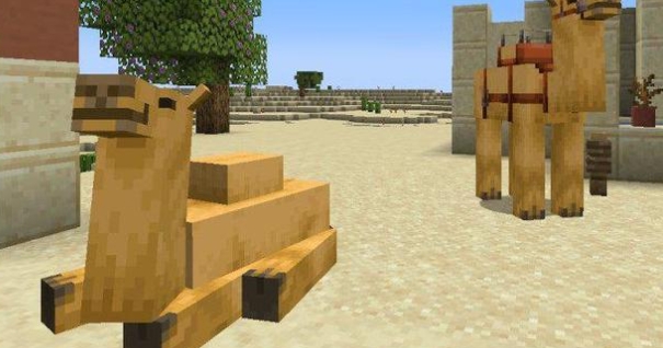 我的世界怎么养殖骆驼2