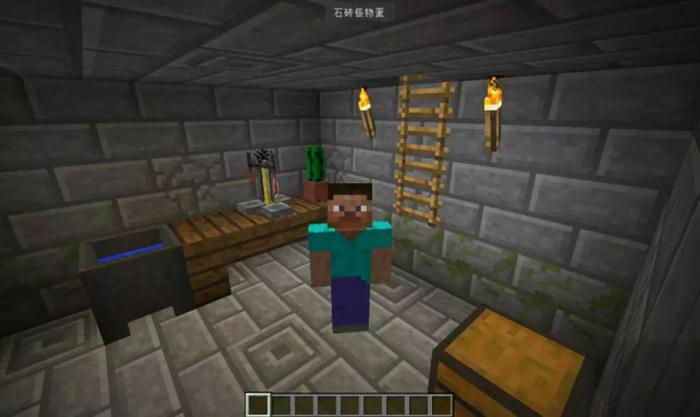 我的世界地窖怎么做1