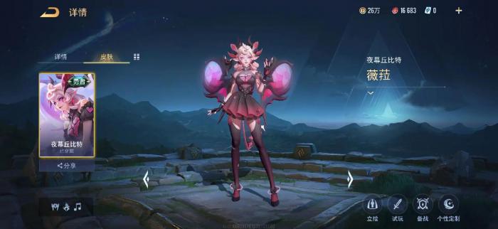 传说对决怎么试玩皮肤2