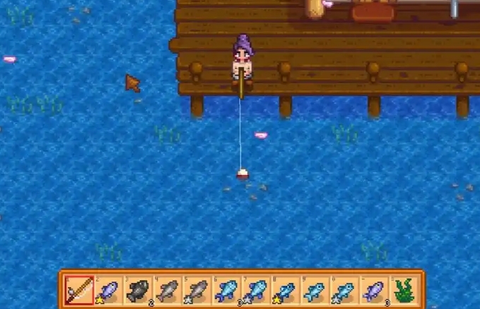 星露谷物语在哪里钓鱼赚钱_星露谷物语钓鱼赚钱地点