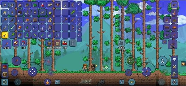 泰拉瑞亚怎么挖矿效率高1