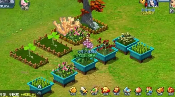 梦幻西游植物怎么种1