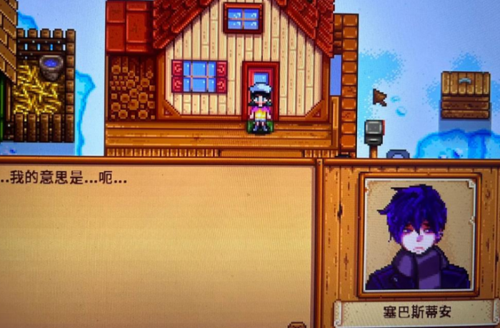 星露谷物语结婚对象怎么选2