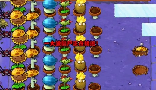 植物大战僵尸杂交版冒险10关通关攻略6