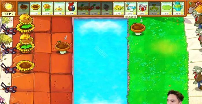 《植物大战僵尸杂交版》冒险模式第42关通关攻略2