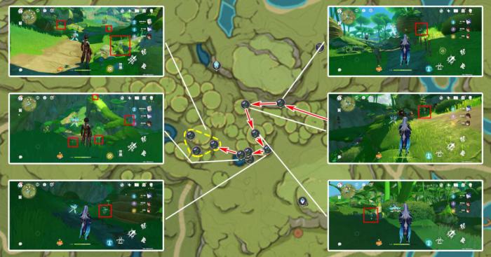 《原神》妮露突破材料帕蒂莎兰采集攻略8