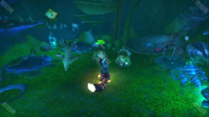 《魔兽世界》20周年全庆典6个箱子位置坐标汇总3