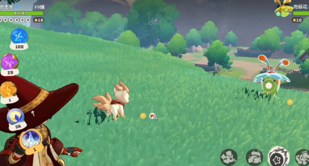 洛克王国世界野外怎么刷闪4