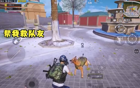 和平精英战斗军犬怎么玩4