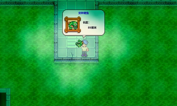 星露谷物语变种鲤鱼怎么钓3