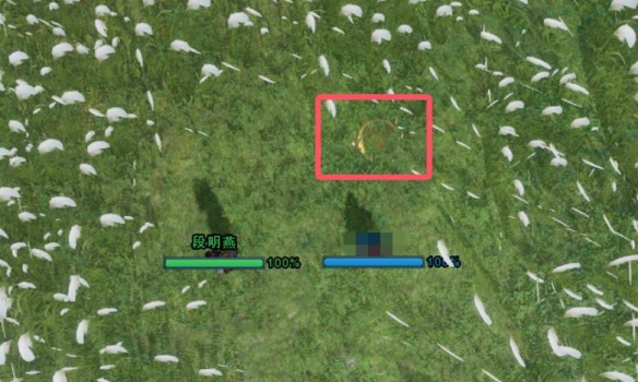 剑网3风花雪宠物奇遇怎么做10