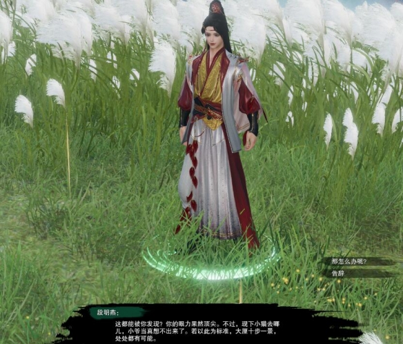 剑网3风花雪宠物奇遇怎么做11