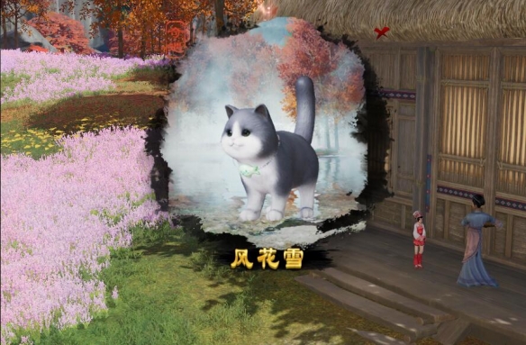 剑网3风花雪宠物奇遇怎么做17