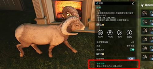 七日世界金羊毛怎么获取4