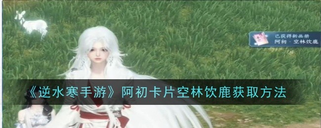 逆水寒手游阿初卡片空林饮鹿怎么获取1