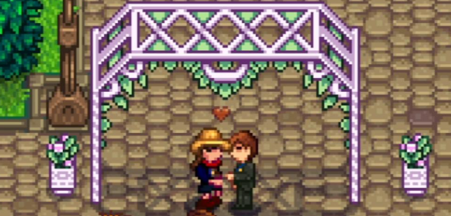 星露谷物语武器店武器买哪个_星露谷物语汉化手机版