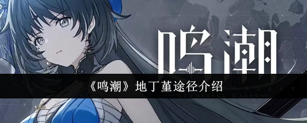 鸣潮地丁堇途径有哪些1