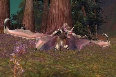 魔兽世界wlk蝙蝠在哪抓1