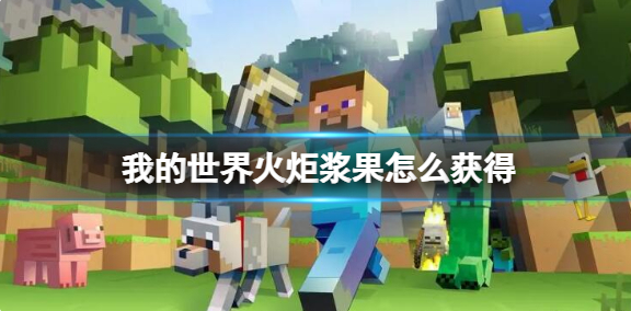 我的世界火炬浆果怎么获得_我的世界火炬浆果怎么采集 我的世界火炬浆果怎么获得_我的世界火炬浆果怎么采集