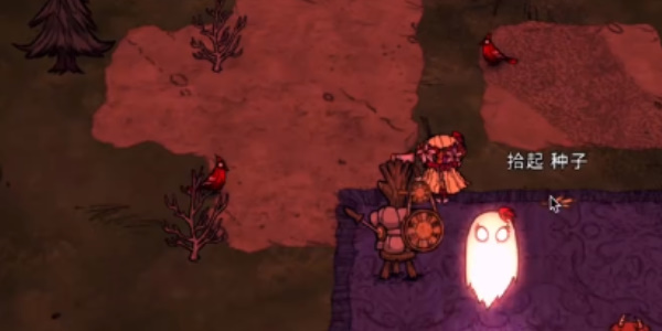 饥荒新家园怎么布置家园5