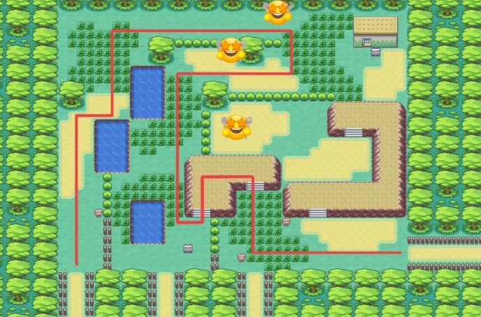 口袋妖怪火红果树森林怎么走3