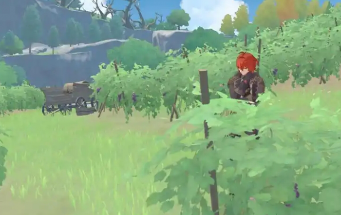 原神初成葡萄藤怎么获得1