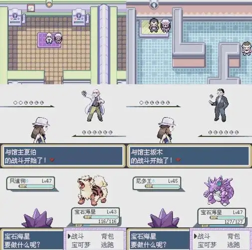 口袋妖怪火红最后一个道馆怎么打2