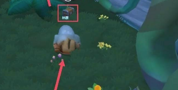 摩尔庄园百宝箱怎么开2