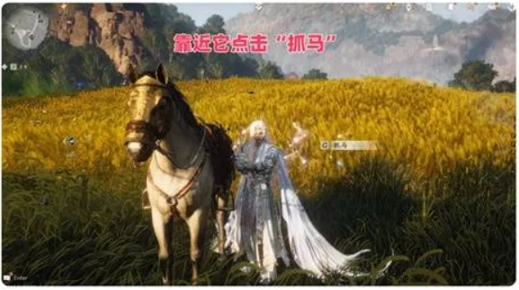 燕云十六声琳琅雪坐骑怎么得5