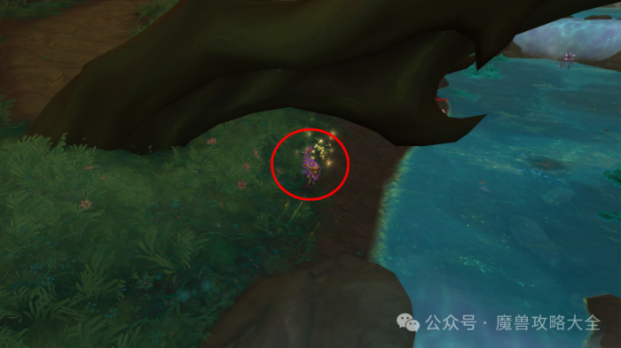 魔兽世界赤红孢子滑翔者怎么获得2