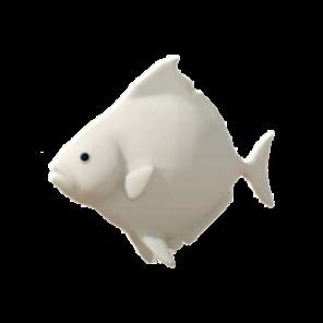 逃离鸭科夫白扁鱼在哪钓_逃离鸭科夫白扁鱼钓法