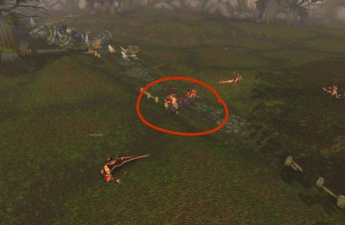 魔兽世界熊猫人之谜剥皮17