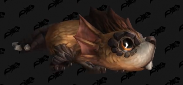 魔兽世界暮色木齿兽怎么获得1